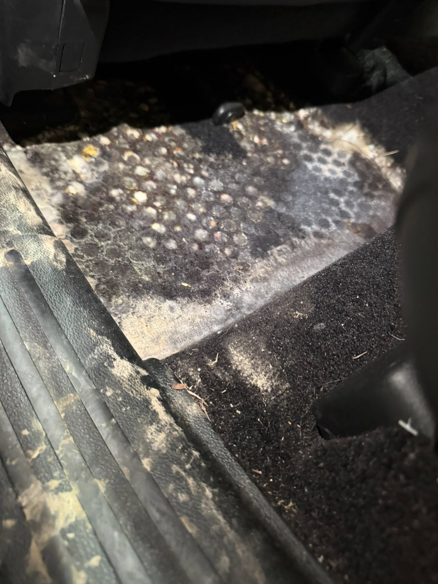 Before — floor board